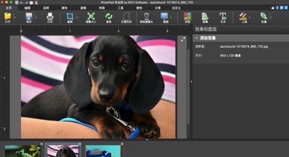 PhotoPad For Mac截图