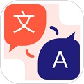 专业翻译电脑版