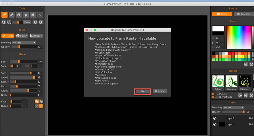 Flame Painter 3 Pro Mac截图