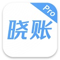 晓账Pro电脑版