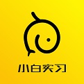 小白实习电脑版
