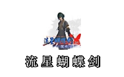 流星蝴蝶剑无限气通用版