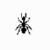 12-Ants