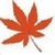 枫叶PSP视频转换器