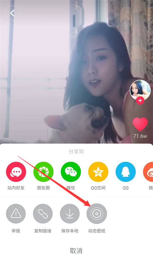 vivonex设置动态桌面的具体操作步骤