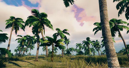 国产佳作《Survisland》上架Steam:真实求生体验