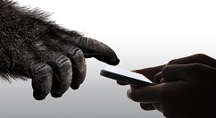 康宁第六代大猩猩玻璃上线！iPhone或率先用上