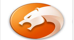 在猎豹浏览器中清理缓存的方法讲解