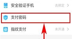 携程旅行APP设置支付密码的操作流程