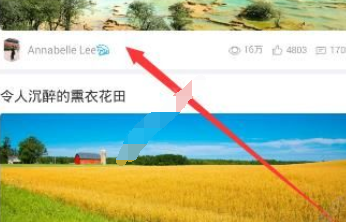 美篇APP中关注别人的详细操作流程