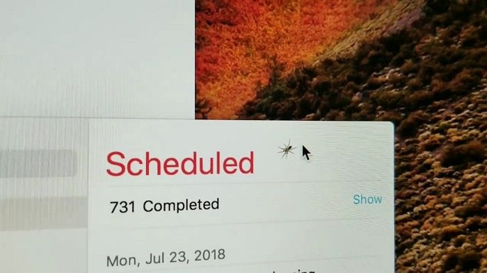iMac出现bug:这只蜘蛛该要咋除掉?