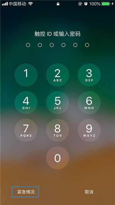 在iphonex中查看医疗急救卡的详细步骤