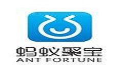 蚂蚁聚宝出现闪退的详细图文讲解