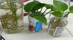 oppor17拍照加水印的方法讲解