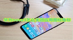 在华为nova3中关闭应用角标的图文教程