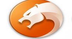 在猎豹浏览器中打开网页变慢的具体教程