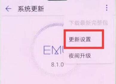 荣耀8x关掉系统自动更新的操作过程