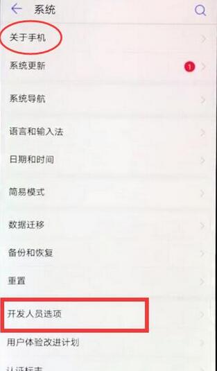 华为麦芒7查找开发人员选项的操作过程