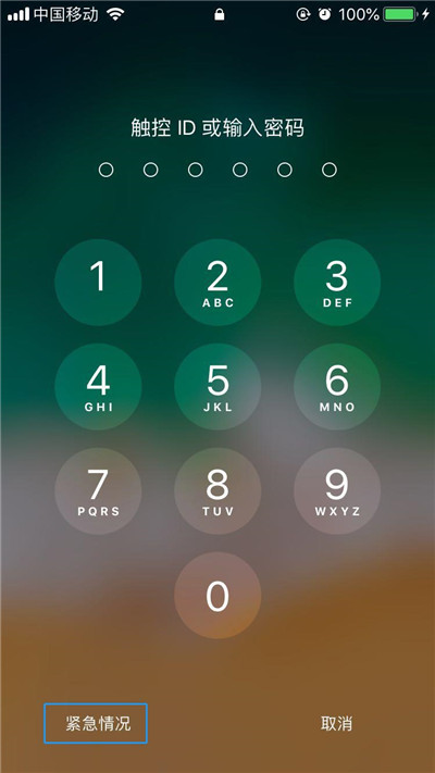 iphone8中添加医疗急救卡的详细讲解截图