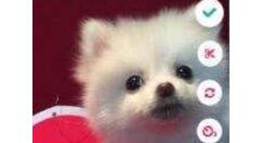 muse APP设置隐藏地理位置的操作流程