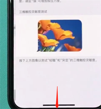 在iphonexr中打开半屏功能的详细教程