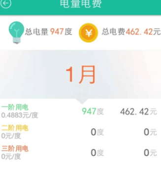 在掌上电力中查询日用电的详细方法