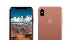 iPhone8查看序列号的具体操作