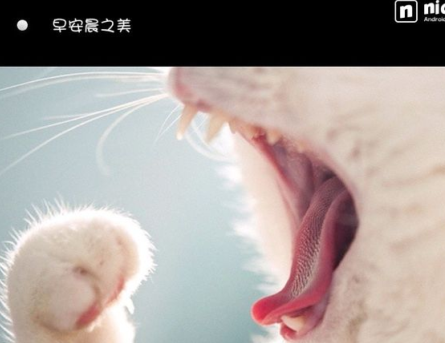 nice好赞APP自定义保存图片的图文操作