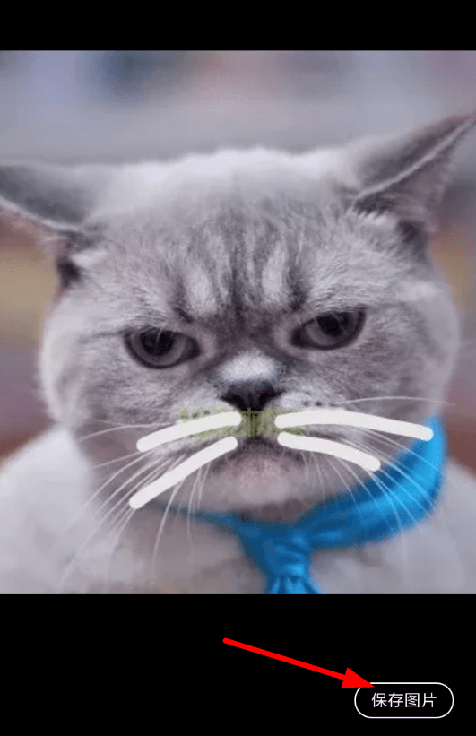 快点阅读app保存图片的操作过程