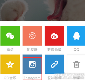 nice好赞APP自定义保存图片的图文操作