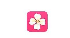 在美丽衣橱里新建专辑的简单操作