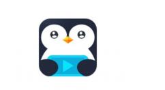 在鹅掌TV里申请主播的详细操作