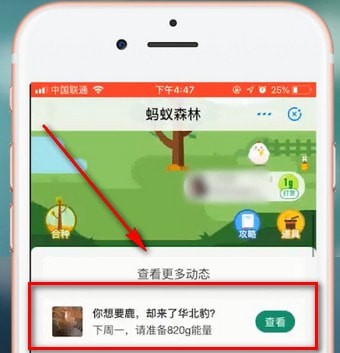 在支付宝蚂蚁森林里领取华北豹的图文操作