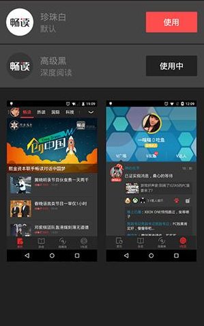 VIVA畅读设置主题的操作过程