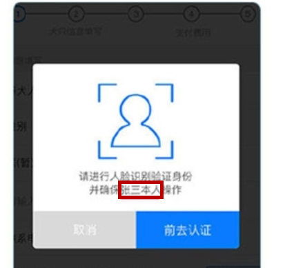 使用支付宝刷脸领取狗证的详细操作