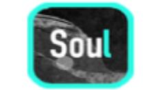 Soul设置权限的基础操作