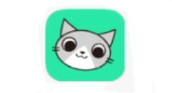 使用卡米直播看直播的基础操作