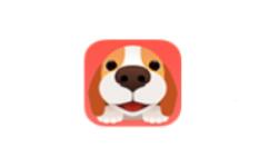 闻闻窝APP进行问诊的操作流程