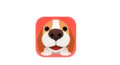 在闻闻窝APP里发领养信息的具体操作