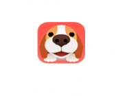 在闻闻窝APP里发领养信息的具体操作