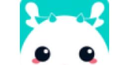 使用准了APP查看八字的简单操作