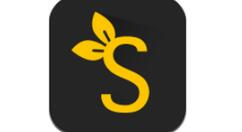 识装app设置留言的基础操作