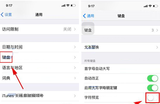 iPhone X关掉键盘字符预览的基础操作