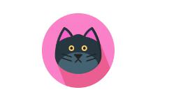 gif制作器给动图加文字的详细操作