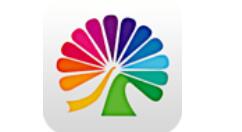 在大麦中进行购票选座的图文操作