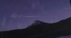传TCL会带来5G智能手机