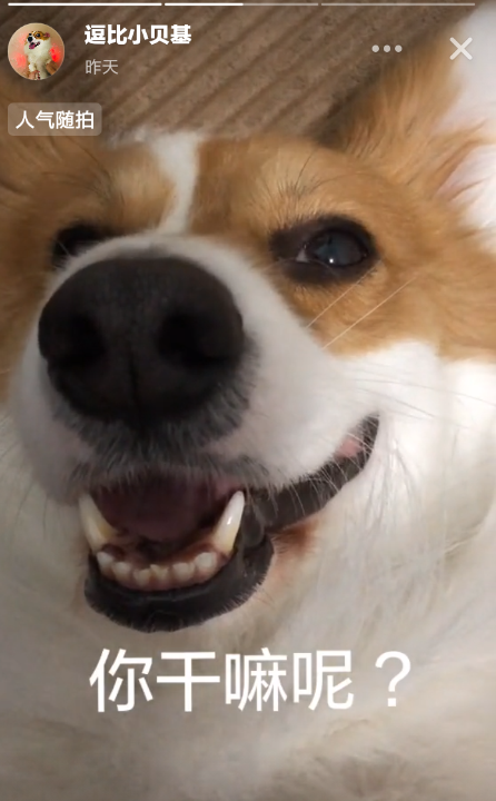 在多闪APP中下载视频的简单教程