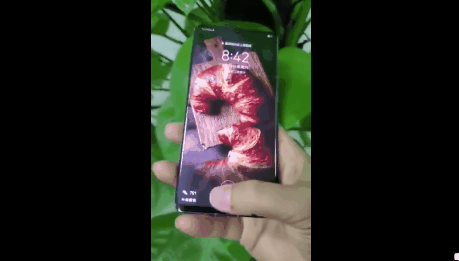 华为P30 Pro上手视频被曝：屏占比出色
