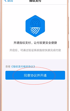 淘宝设置指纹支付的基础操作