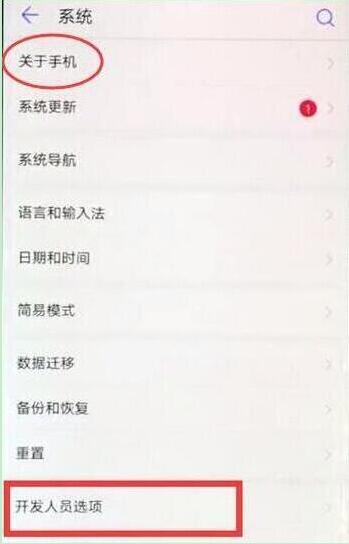 在华为p30pro中打开开发者选项的方法介绍